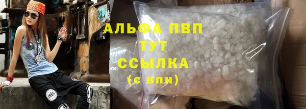 гашик Вяземский