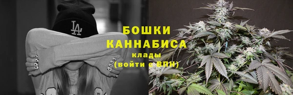 эйфоретик Горнозаводск