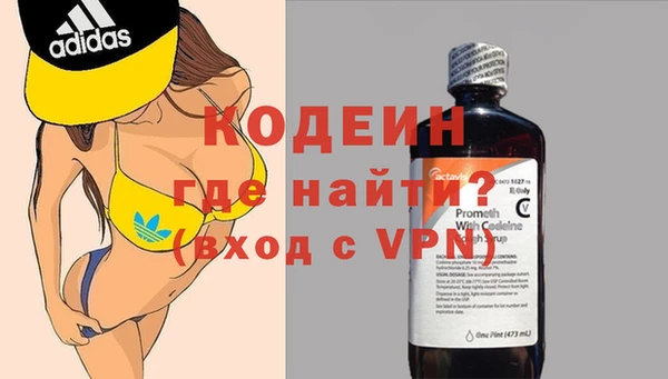 дживик Вязьма