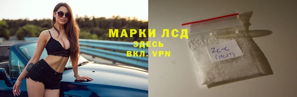 гашик Вяземский