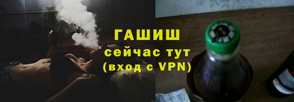 индика Гусь-Хрустальный