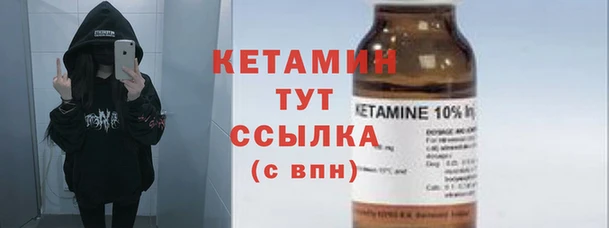 индика Гусь-Хрустальный