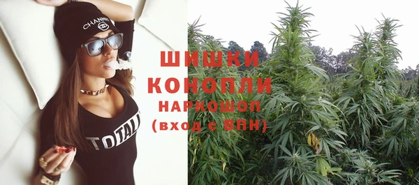 гашик Вяземский