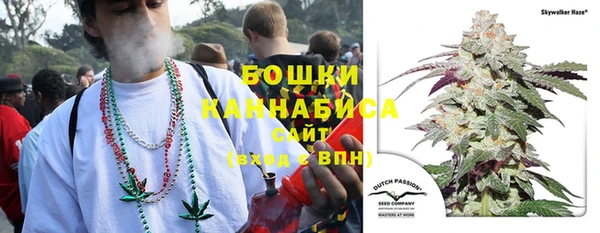 спиды Горно-Алтайск