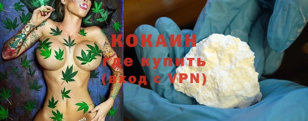 индика Гусь-Хрустальный