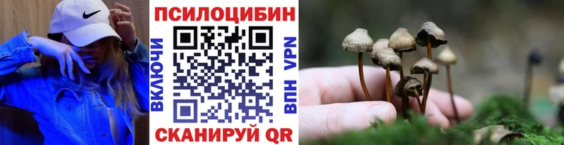 OMG маркетплейс  Ермолино  Псилоцибиновые грибы Psilocybine cubensis  купить наркотик 